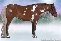 Horse Color:White Spotted Silver Brown 