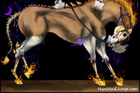 Horse Color:Chestnut Splash