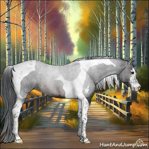Horse Color:Brown Sabino Tobiano