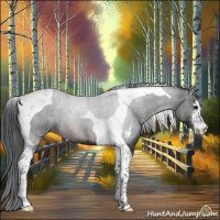 Horse Color:Brown Sabino Tobiano