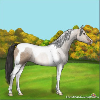 Horse Color:Brown Dun Tobiano 
