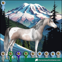 Horse Color:Bay Sabino Tobiano