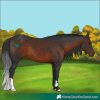 Horse Color:Brown 