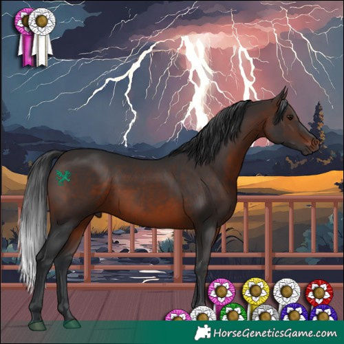 Horse Color:Brown 