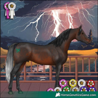 Horse Color:Brown 