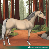 Horse Color:Gray Silver Amber Champagne Dun 