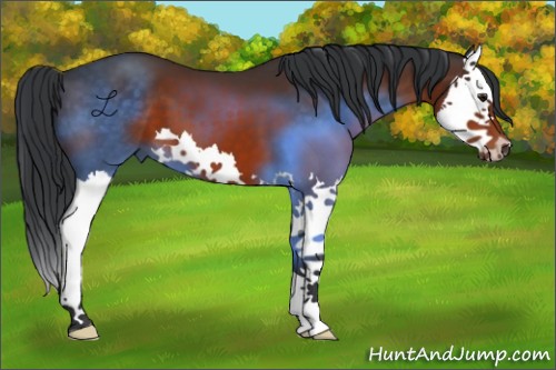 Horse Color:Brown Splash 