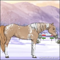 Horse Color:Red Dun Tobiano 