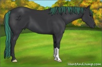 Horse Color:Painted Black 