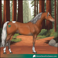 Horse Color:Silver Bay Tobiano 