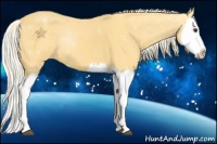 Horse Color:Palomino Splash Varnish 