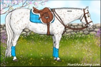 Horse Color:Silver Black Pearl Tobiano Leopard 