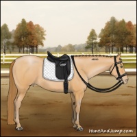 Horse Color:Bay Pearl 