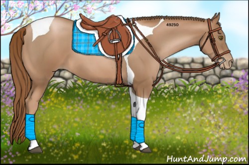 Horse Color:Liver Chestnut Pearl Tobiano