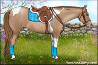 Horse Color:Liver Chestnut Pearl Tobiano 