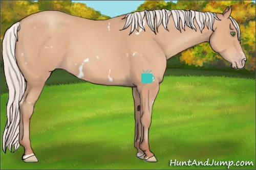 Horse Color:White Spotted Silver Sable Champagne Sabino