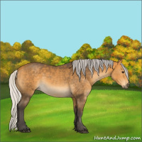 Horse Color:Silver Buckskin Sabino 