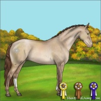 Horse Color:Brown Pearl Dun Sabino 