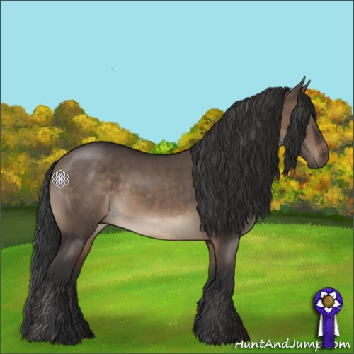 Horse Color:Brown Dun 