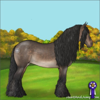 Horse Color:Brown Dun 