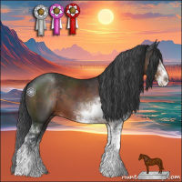 Horse Color:Brown Sabino 