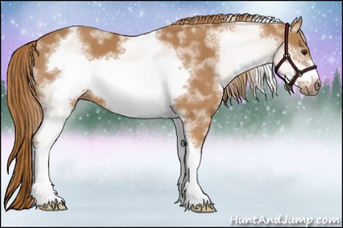 Horse Color:White Spotted Chestnut Sabino Frame 