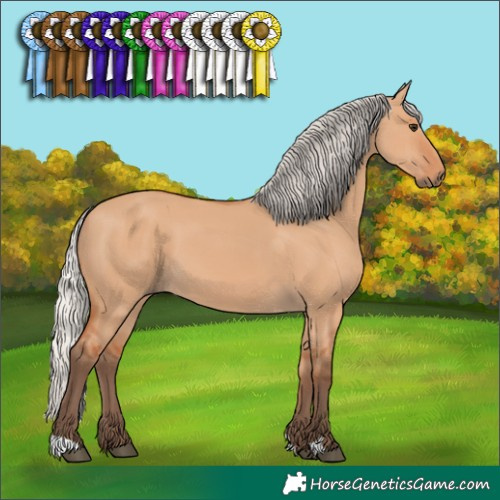 Horse Color:Silver Bay Dun 