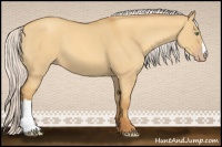 Horse Color:Silver Classic Cream Champagne Dun