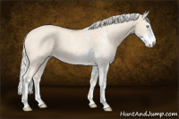 Horse Color:Cremello Sabino  and Cremello Sabino 