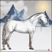 Horse Color:Gray Chestnut Sabino