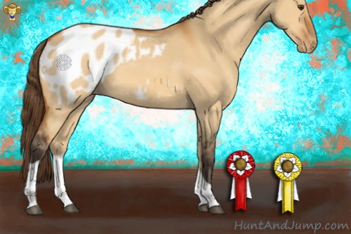 Horse Color:Buckskin Dun Tobiano Appaloosa 