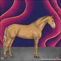 Horse Color:Palomino