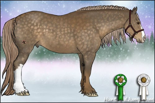 Horse Color:Chocolate Palomino 