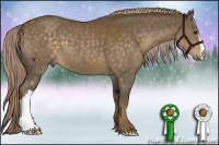 Horse Color:Chocolate Palomino 