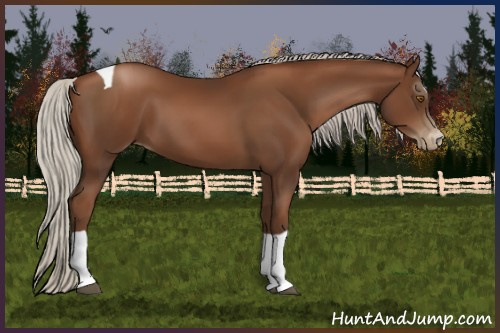 Horse Color:Gray Silver Black Pearl Sabino Tobiano 