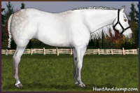 Horse Color:Gray Silver Black Pearl Tobiano 