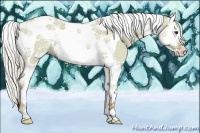 Horse Color:Watercolor Silver Bay Dun Sabino Splash Tobiano 