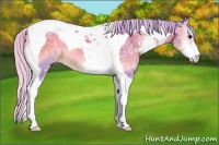 Horse Color:Watercolor Silver Blue Onyx Ice Sabino Tobiano 