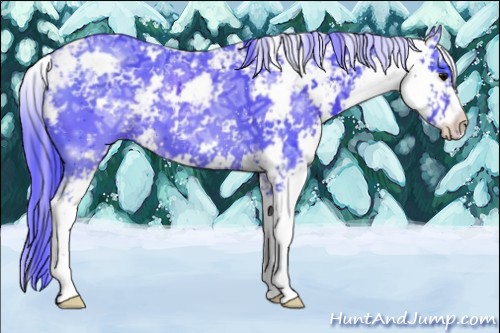 Horse Color:Watercolor Black Ice Sabino