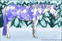 Horse Color:Watercolor Black Ice Sabino