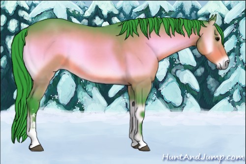 Horse Color:Watercolor Brown Onyx Sabino