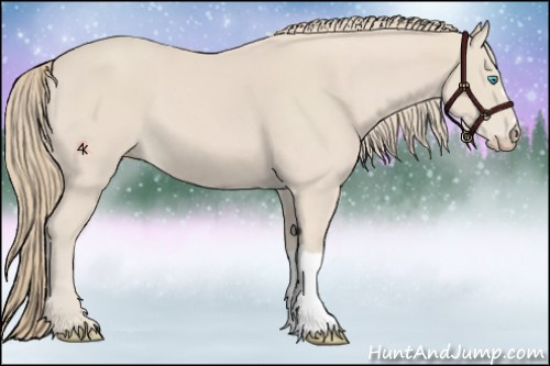 Horse Color:Smoky Creme
