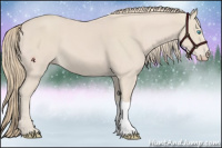 Horse Color:Smoky Creme 