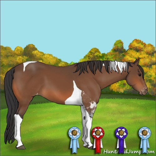 Horse Color:Bay Tobiano Varnish 