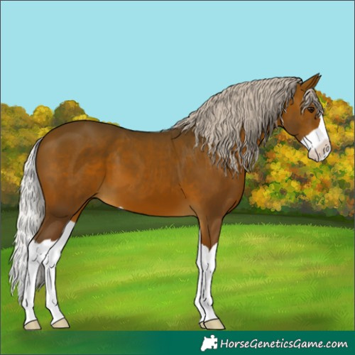 Horse Color:Silver Brown Splash 