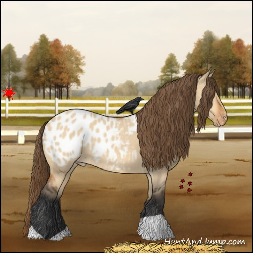 Horse Color:Bay Dun Appaloosa 