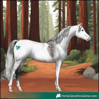 Horse Color:Gray Bay Tobiano 