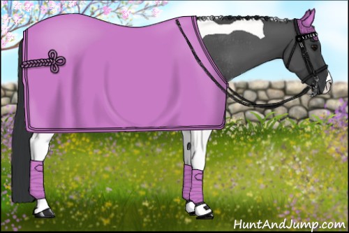 Horse Color:Black Tobiano Rabicano 