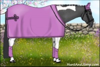 Horse Color:Black Tobiano Rabicano