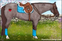 Horse Color:Chocolate Blue Roan 